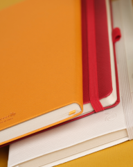 Appeel Classic Red Delicious