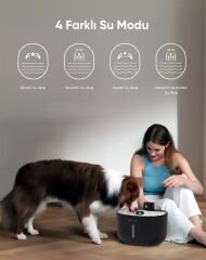 Akıllı Evcil Hayvan Sebili