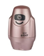 E-Bot - Metalik Renkler