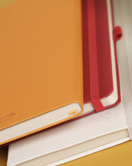 Appeel Classic Red Delicious