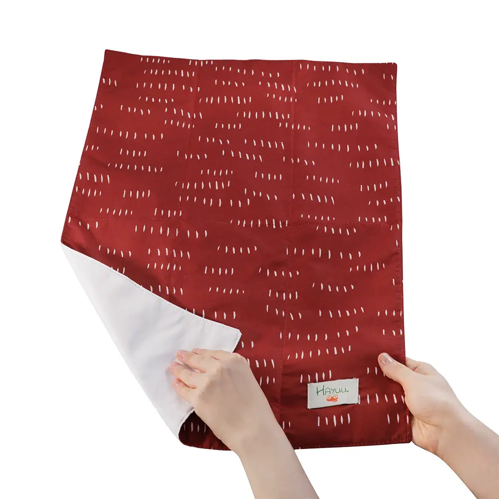 King Crimson 2025 - Alt Değiştirme Matı