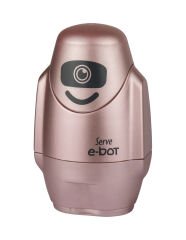 E-Bot - Metalik Renkler