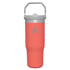 IceFlow™ Flip Straw Tumbler Pipetli Termos | 0.89L