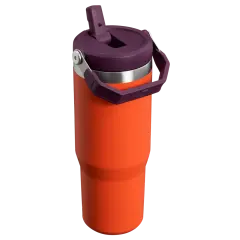 IceFlow™ Flip Straw Tumbler Pipetli Termos | 0.89L