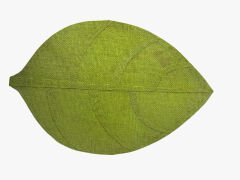 Yaprak Amerikan Servisi