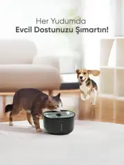 Akıllı Evcil Hayvan Sebili