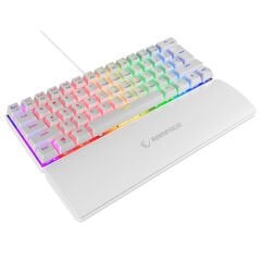 Rampage PLOWER K60 Beyaz US Layout English Gaming Oyuncu Klavye Bilek Destekli Blue Switch