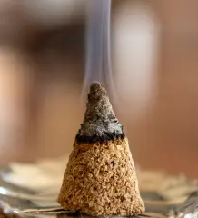 Sermo Palo Santo Konik ve Çubuk Tütsüler (6 Adet Konik + 5 Adet Çubuk)