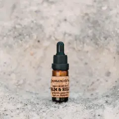 Yoga ve Meditasyon Hediye Seti