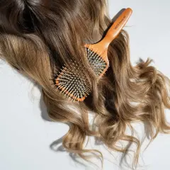 Prestige Saç Fırçası