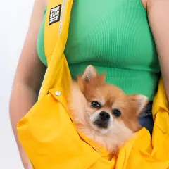 Kedi Köpek Taşıma Çantası Sarı